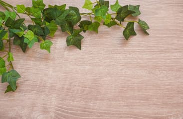 勉強で疲れてリラックスしたい時は茶色かベージュ
