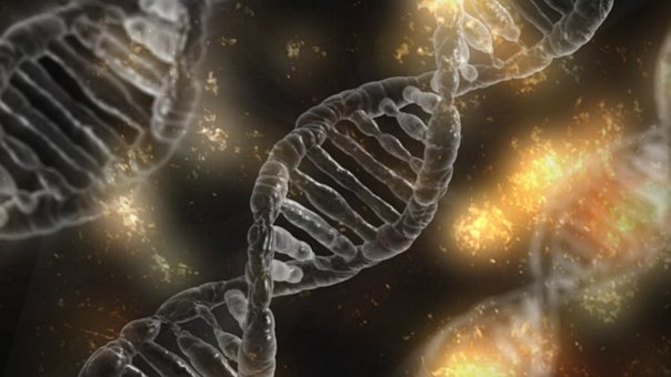 東大の生物対策について