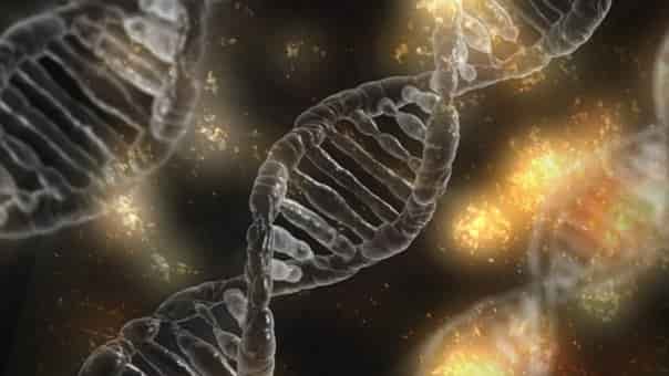 東大の生物対策について