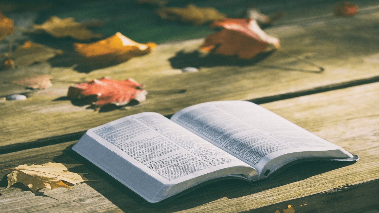 数学の正しい復習の仕方は解答解説を読むこと